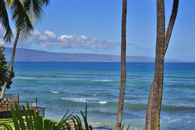 Listing Image for 3875 Lower Honoapiilani Rd A-205 30 of 48