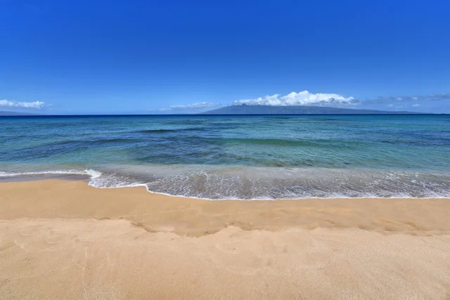 Listing Image for 3875 Lower Honoapiilani Rd A-205 40 of 48