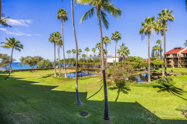 Listing Image for 2695 S Kihei Rd 10-212 35 of 50