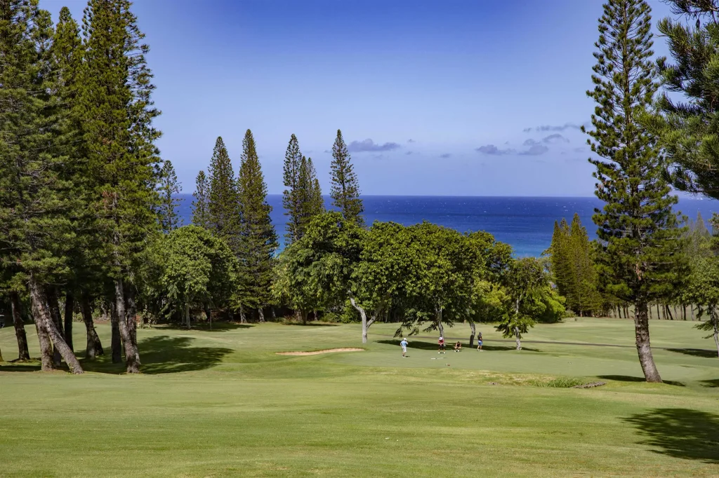 500 Kapalua Dr 27p7-8, Kapalua