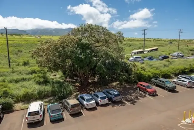 Listing Image for 3660 Lower Honoapiilani Rd 411 40 of 41