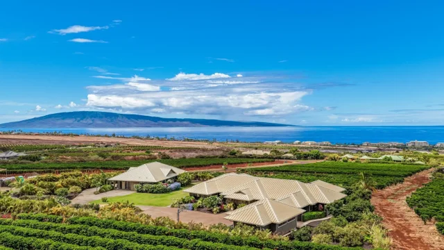 Listing Image for 2600 Aina Mahiai St 32 of 50