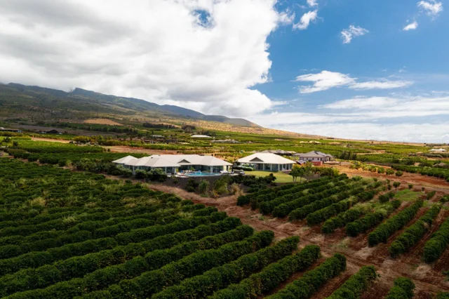 Listing Image for 2600 Aina Mahiai St 45 of 50