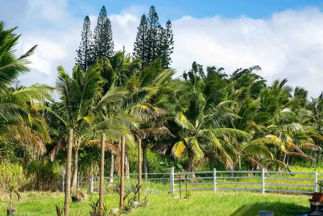 Listing Image for 4930 Hana Hwy 38 of 48