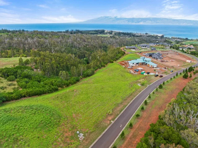 Listing Image for 600 Mahana Ridge St 10 of 28