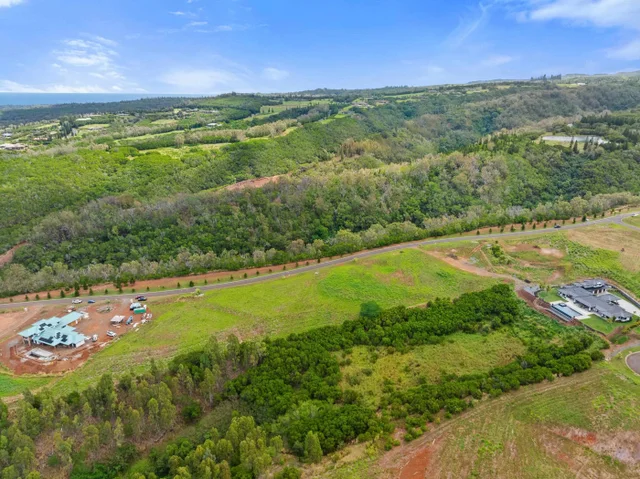 Listing Image for 600 Mahana Ridge St 11 of 28