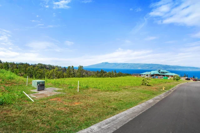 Listing Image for 600 Mahana Ridge St 12 of 28