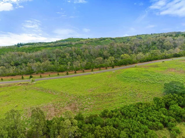 Listing Image for 600 Mahana Ridge St 14 of 28