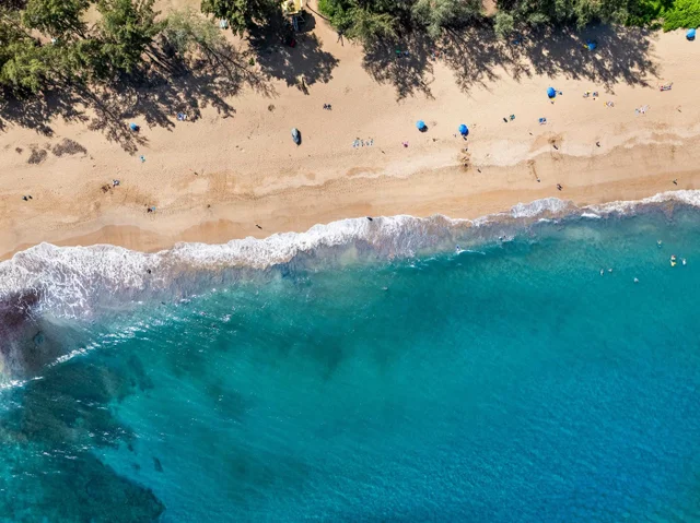 Listing Image for 600 Mahana Ridge St 16 of 28