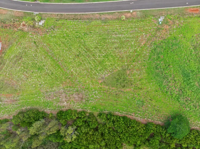 Listing Image for 600 Mahana Ridge St 17 of 28