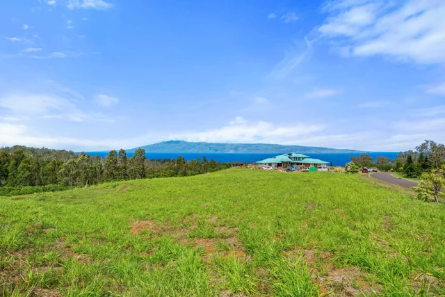 Listing Image for 600 Mahana Ridge St 19 of 28