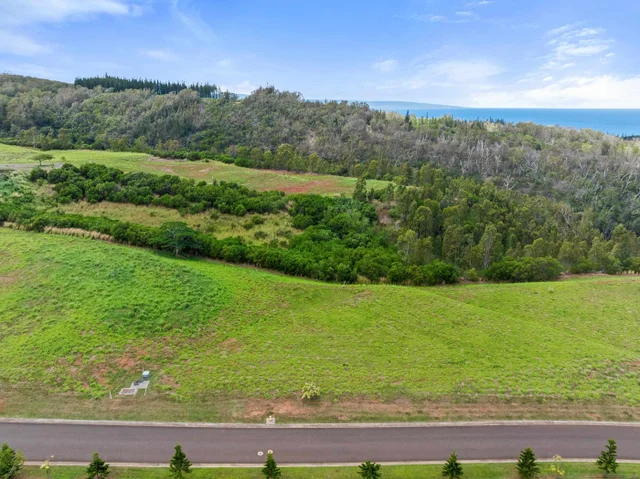 Listing Image for 600 Mahana Ridge St 20 of 28