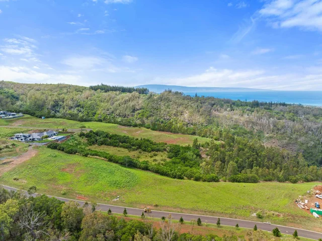 Listing Image for 600 Mahana Ridge St 22 of 28