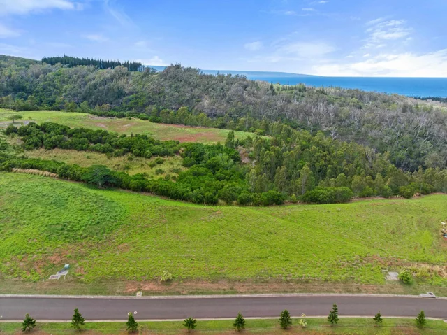 Listing Image for 600 Mahana Ridge St 23 of 28