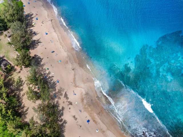 Listing Image for 600 Mahana Ridge St 27 of 28