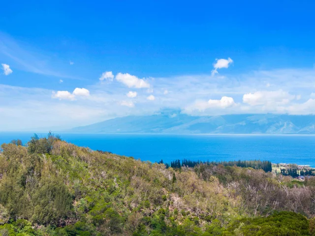 Listing Image for 600 Mahana Ridge St 5 of 28