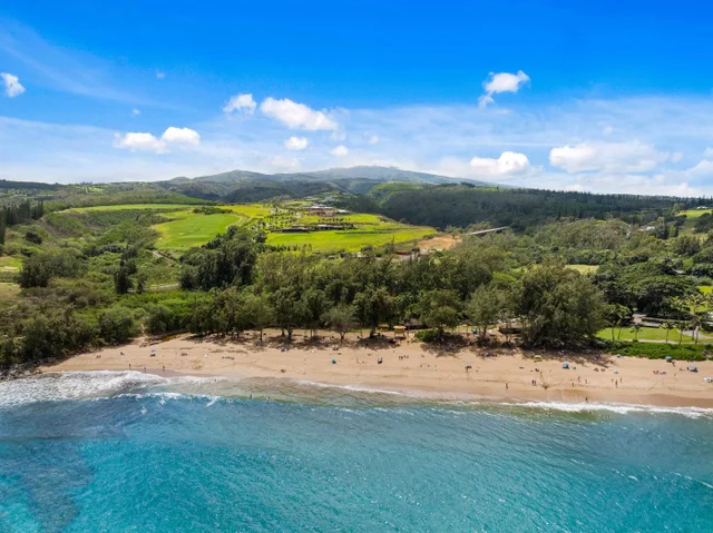 Listing Image for 600 Mahana Ridge St 6 of 28