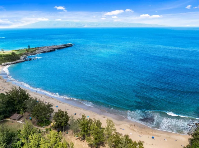 Listing Image for 600 Mahana Ridge St 8 of 28