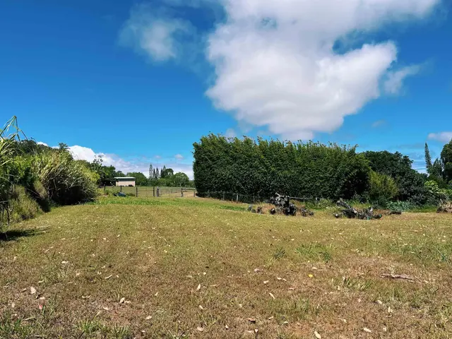 Listing Image for 57 Awalau Rd A 10 of 22