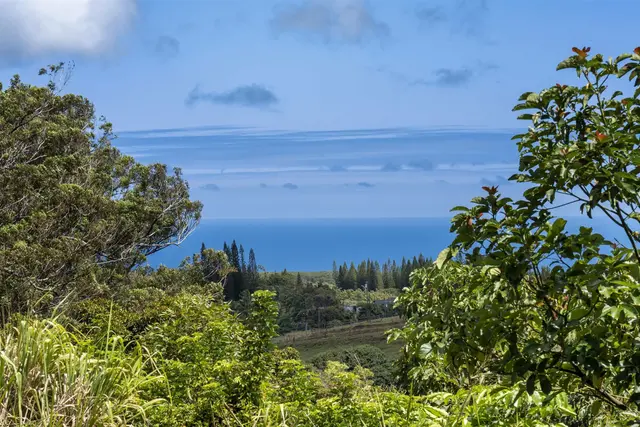 Listing Image for 57 Awalau Rd A 11 of 22