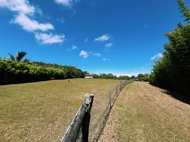 Listing Image for 57 Awalau Rd A 16 of 22