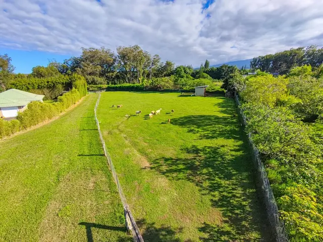 Listing Image for 57 Awalau Rd A 3 of 22