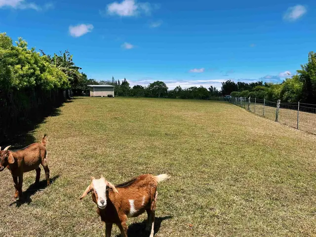 Listing Image for 57 Awalau Rd A 9 of 22
