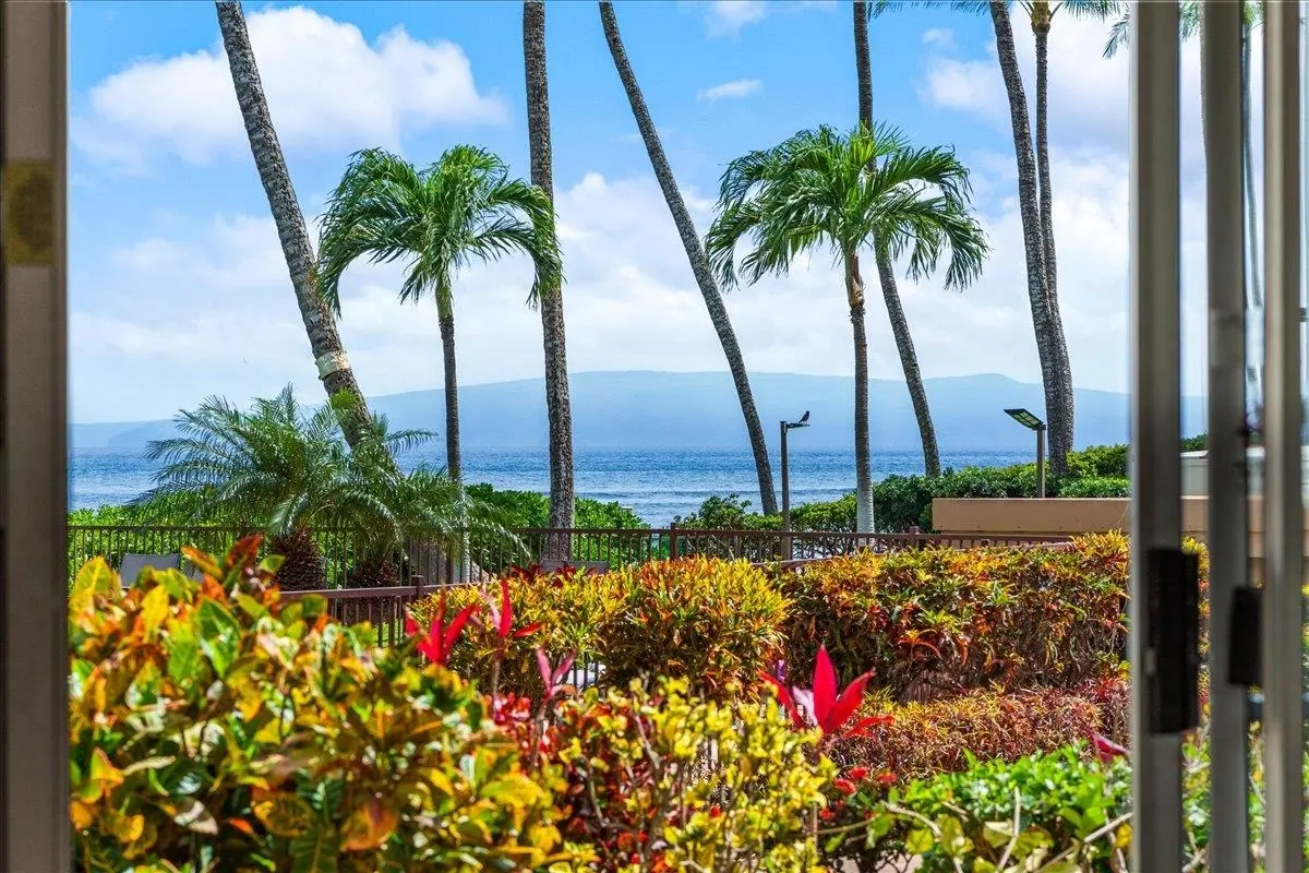 Photo of Listing #409220