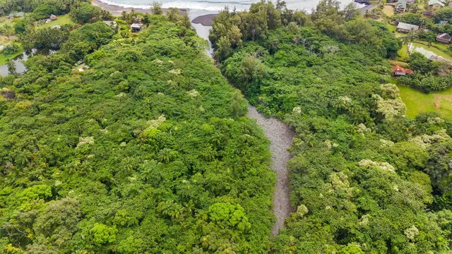 Listing Image for 56 Kawaipapa Ave 2 of 26