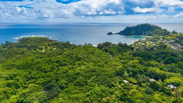 Listing Image for 56 Kawaipapa Ave 6 of 26