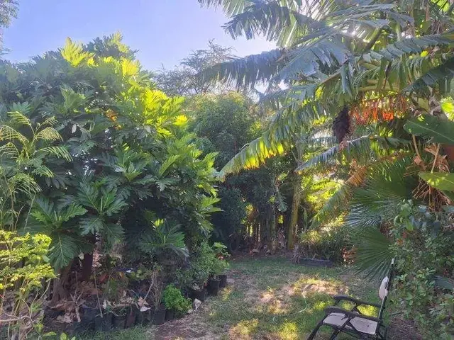 Listing Image for 464 Onioni Dr 22 of 36