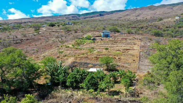 Listing Image for 464 Onioni Dr 26 of 36