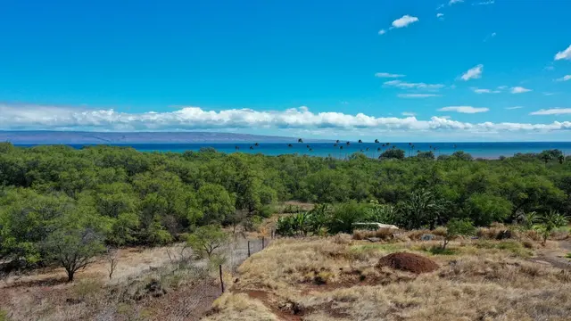 Listing Image for 464 Onioni Dr 36 of 36