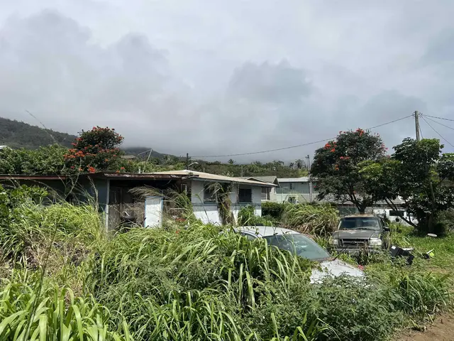 2041 Ulei Pl, Wailuku, 401961 - 2/5