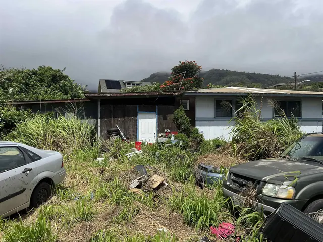 2041 Ulei Pl, Wailuku, 401961 - 3/5