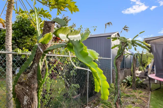 Listing Image for 1697 Haiku Rd 36 of 48