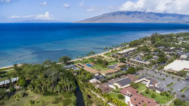 Listing Image for 49 W Lipoa St 204 49 of 50
