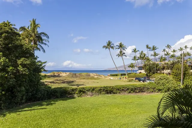 Listing Image for 49 W Lipoa St 204 7 of 50