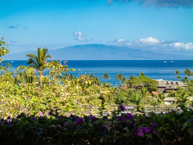 Listing Image for 3100 Wailea Alanui Dr 12 19 of 50
