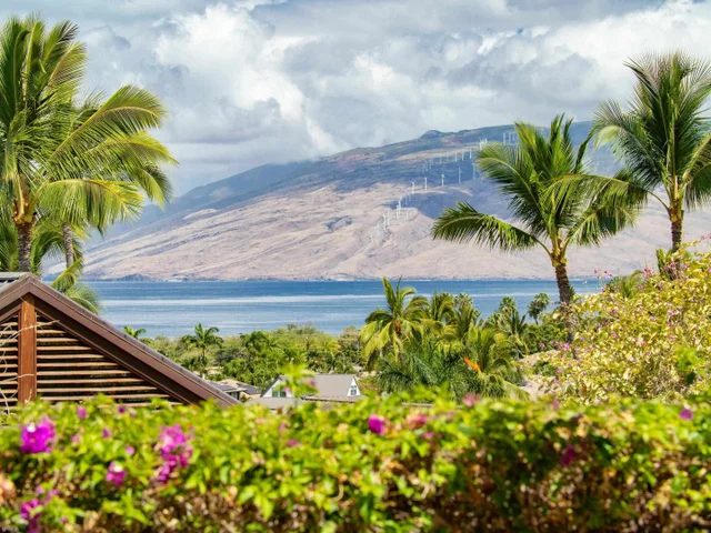 Listing Image for 3100 Wailea Alanui Dr 12 48 of 50