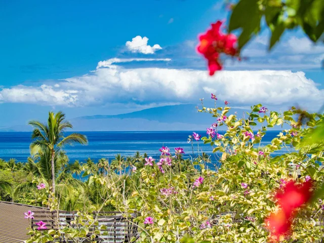 Listing Image for 3100 Wailea Alanui Dr 12 49 of 50