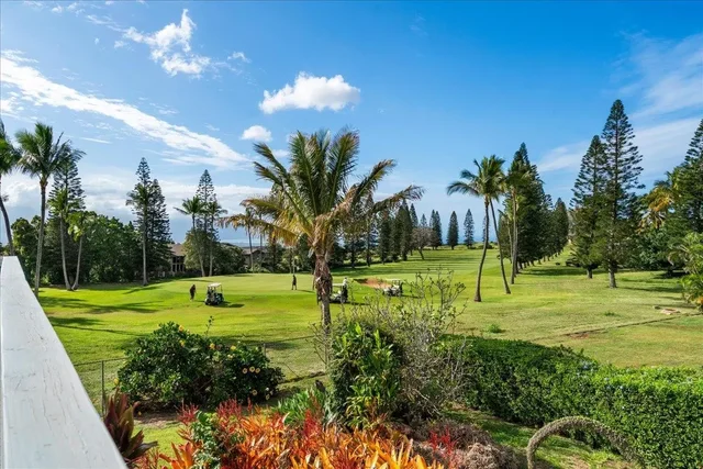 Listing Image for 240 Nalani St 21 of 47