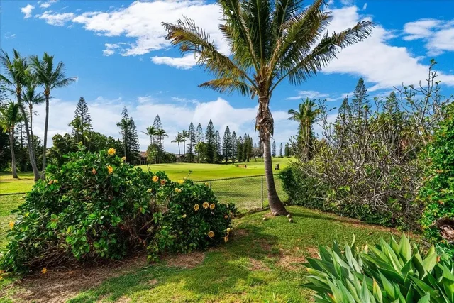 Listing Image for 240 Nalani St 36 of 47