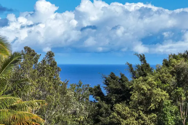 Listing Image for 50 Kapuaimilia Pl Lot 2-b 21 of 40