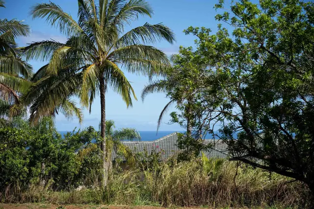 Listing Image for 50 Kapuaimilia Pl Lot 2-b 39 of 40