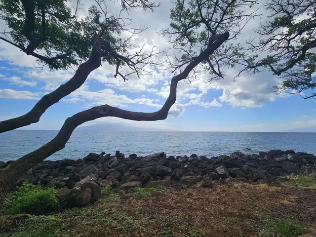 Listing Image for 1640 Ku'uipo St 11 of 17