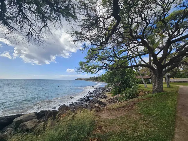 Listing Image for 1640 Ku'uipo St 12 of 17