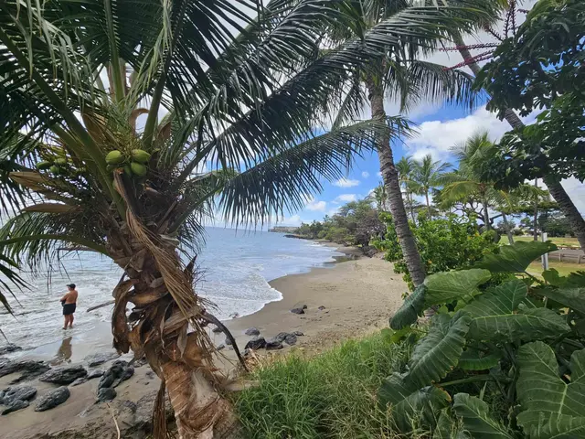Listing Image for 1640 Ku'uipo St 13 of 17