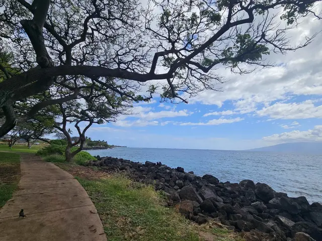 Listing Image for 1640 Ku'uipo St 16 of 17