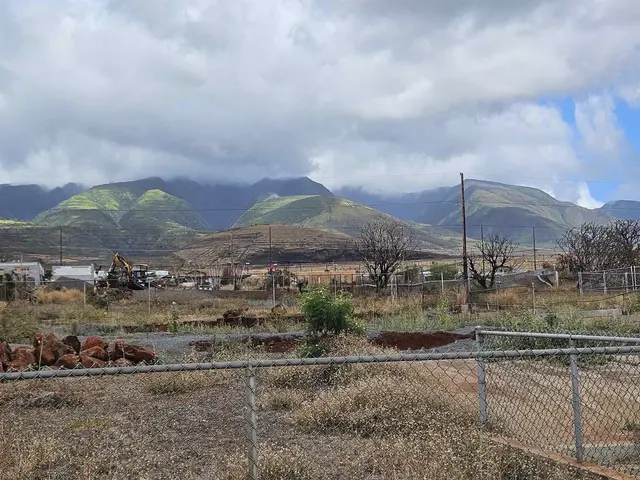 Listing Image for 1640 Ku'uipo St 8 of 17